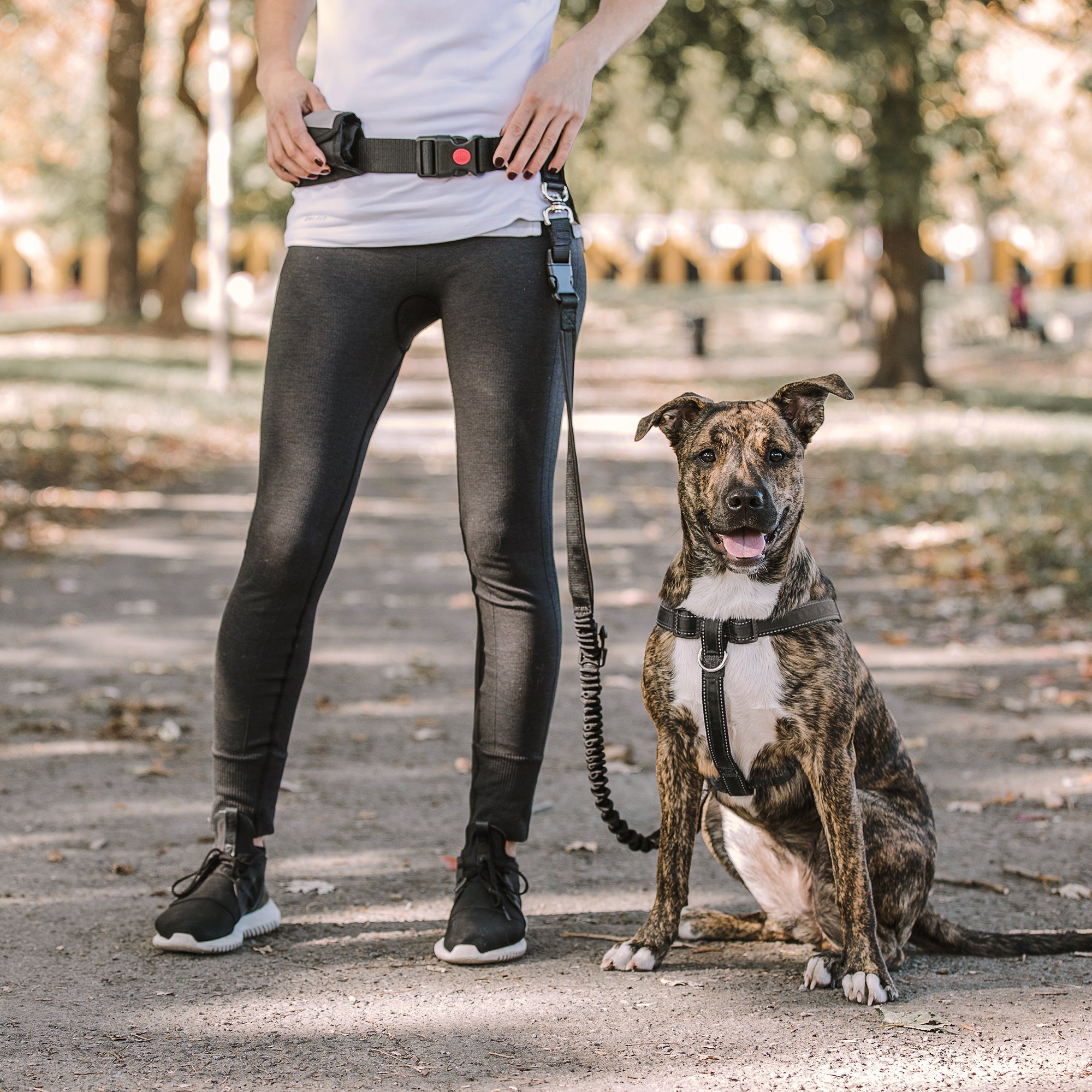 Hands-Free Waist Belt & Bungee Dog Leash - Running & Hiking