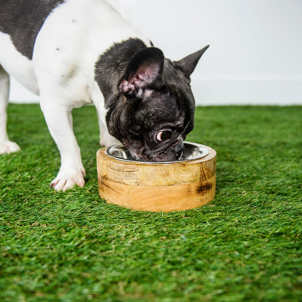 Handcrafted Mango Wood Pet Bowl – Elevated Feeder for Dogs & Cats