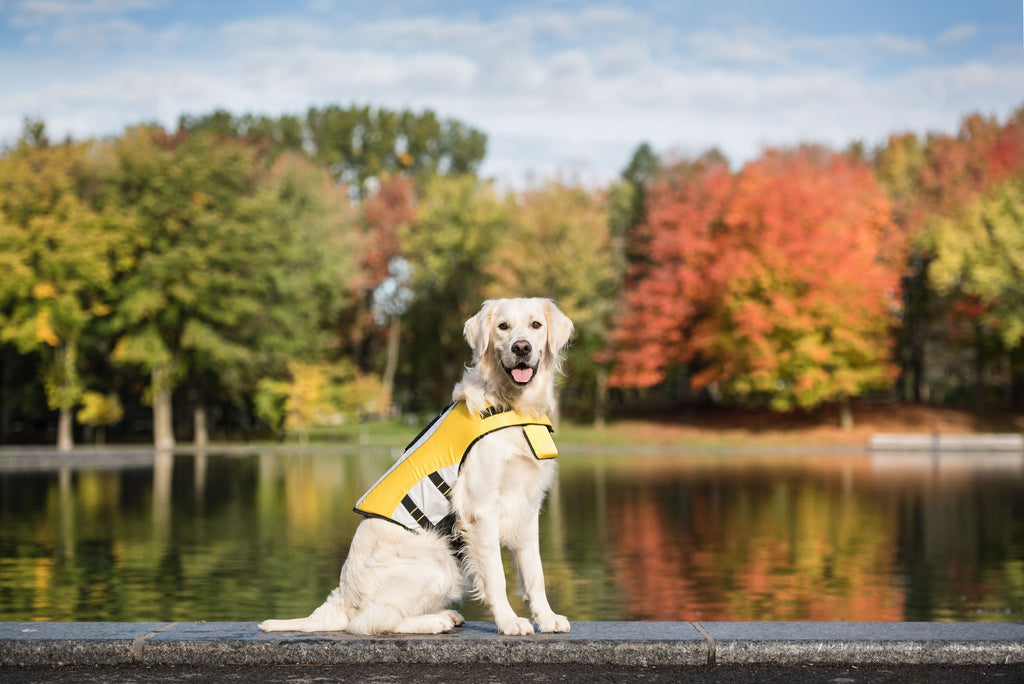 Dog Life Vest Jacket - High Buoyancy Safety Vest for Water Adventures