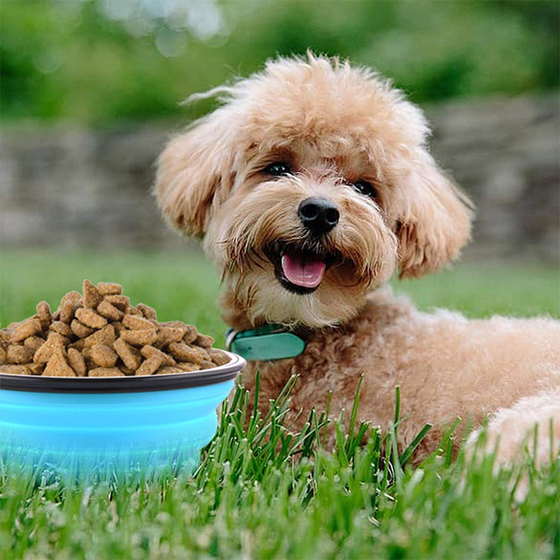 Collapsible Silicone Dog Bowl – Portable 350ml Travel Bowl