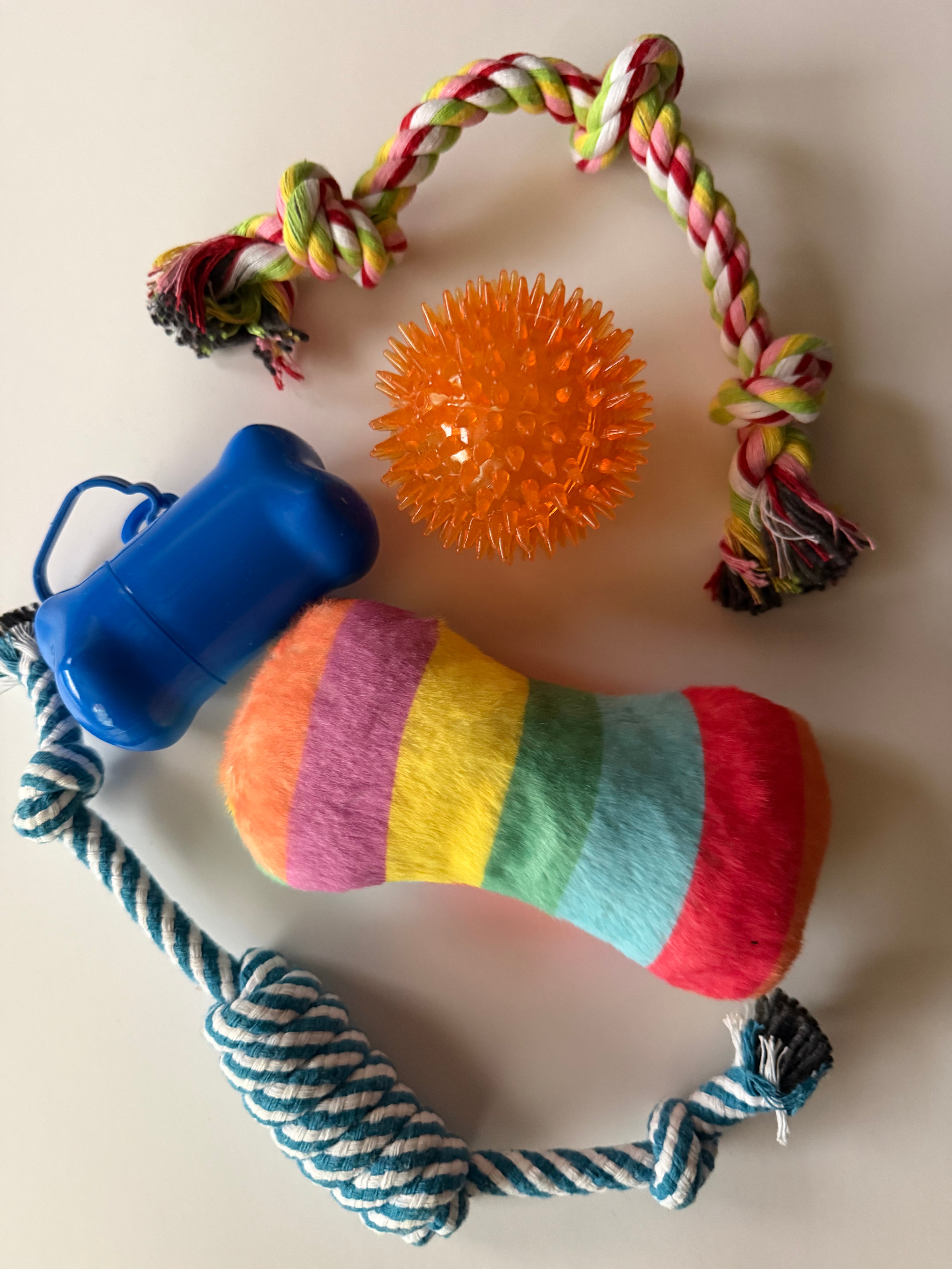 Dog Toy Bundle – 5-Pack Durable Toys for Dogs
