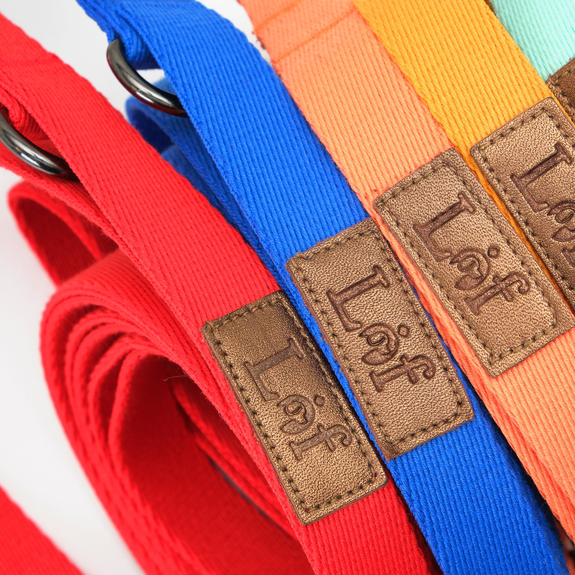 Lof Folding Lead Leash - Adjustable 10ft Dog Leash