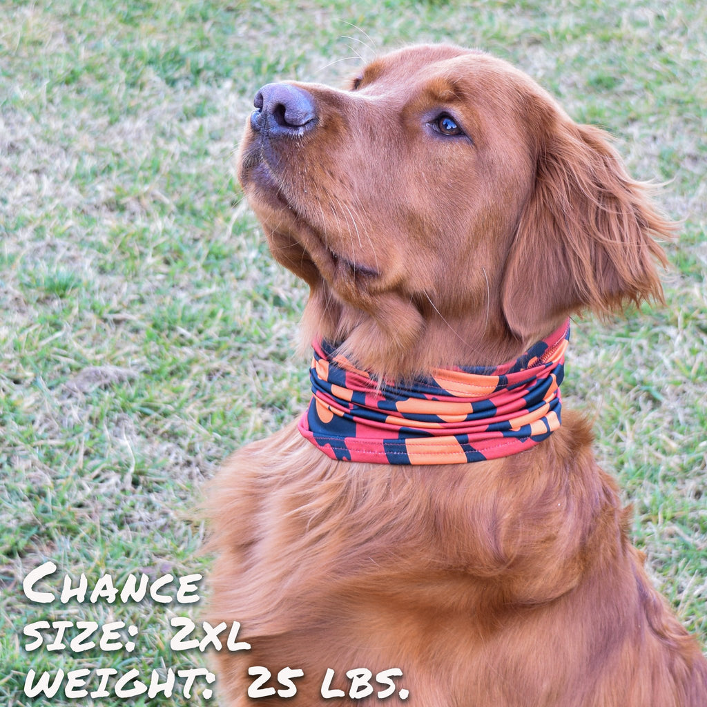 Leopawd Skin Pup Scruff – Dog Bandana Scrunchie
