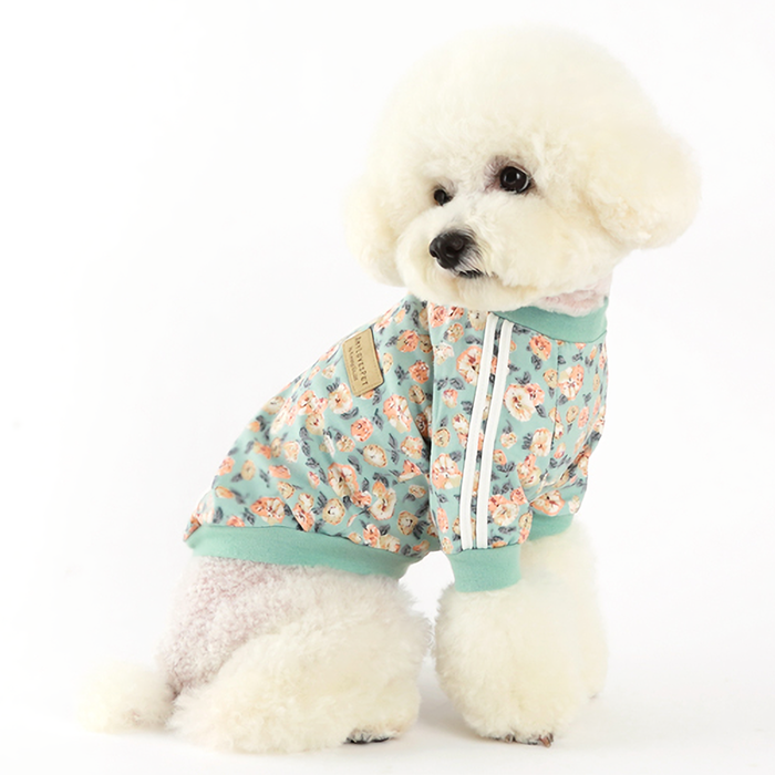 Nancy Mint Track Top – Stylish Dog Jacket & Pet Apparel