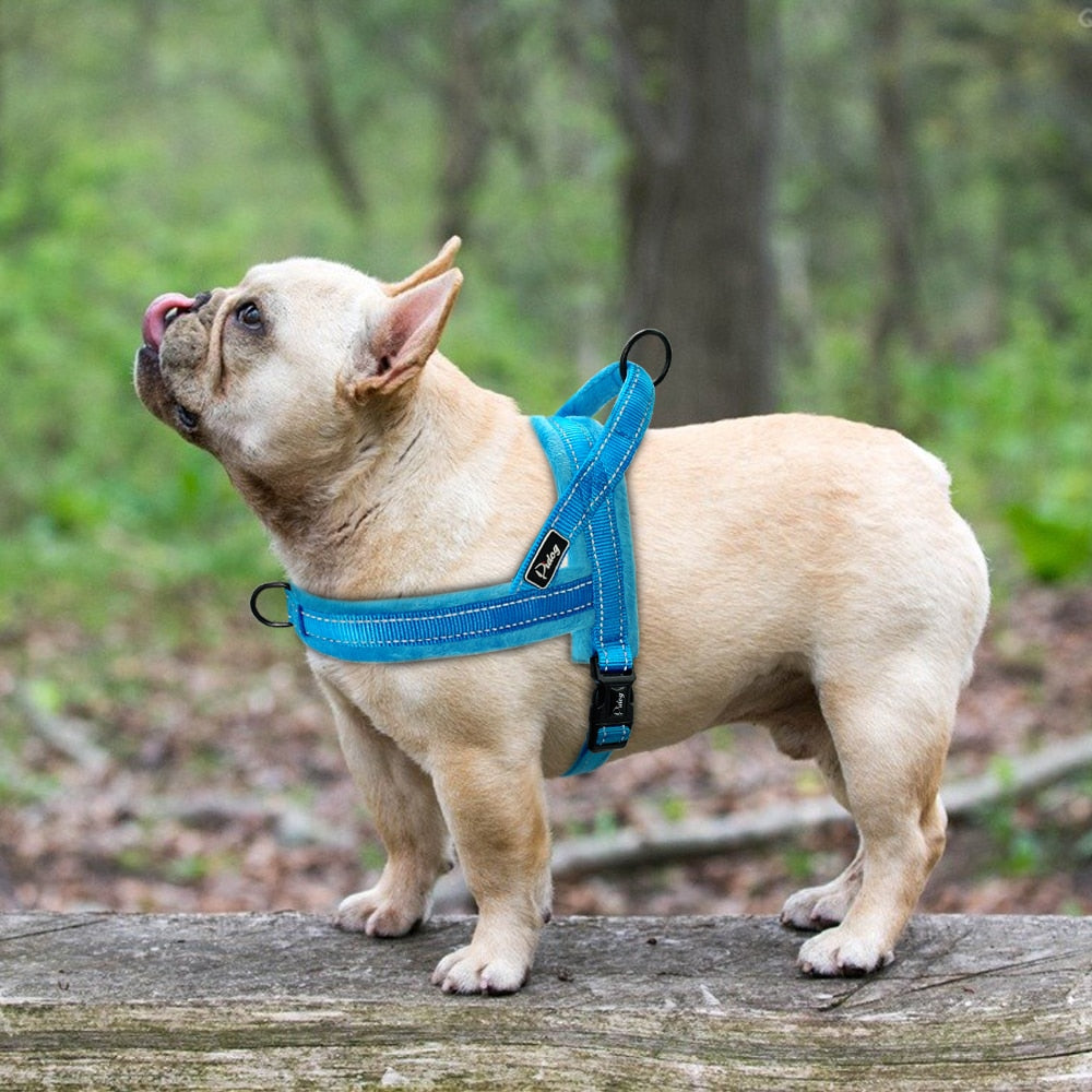Reflective Dog Harness Vest – Soft Padded, No Pull, Quick Fit