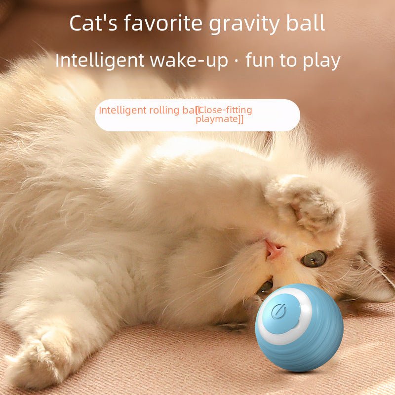 Pet Gravity Smart Rolling Ball Cat Toy – Self-Play & Entertainment - My Pet Spot