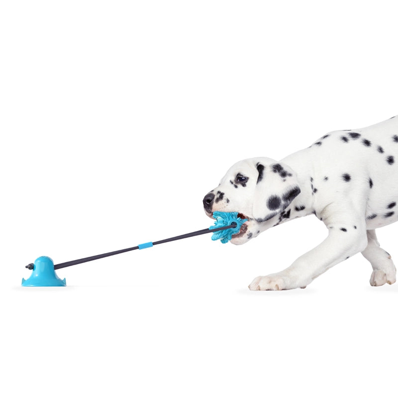 Ruff & Ready Solo™ Chew & Tug Dog Toy – Suction Cup Self-Play