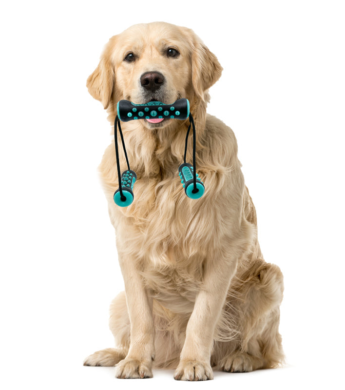 Ruff & Ready Trio™ Chew & Tug Dog Toy – 3-Handle Rope Tug