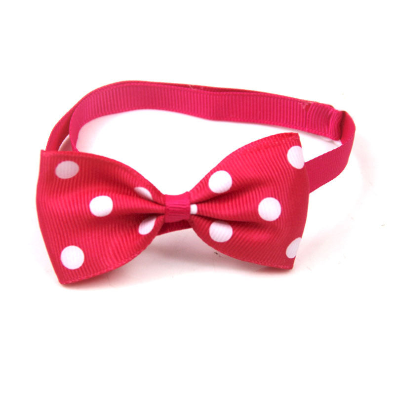 Red bow tie with white polka dots on a white background
