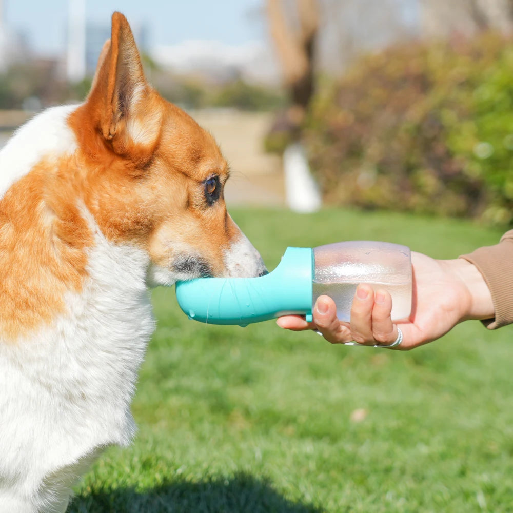 Portable Dog Water Bottle 300ML – Leakproof Travel Drinking Bottle for Small & Medium Dogs