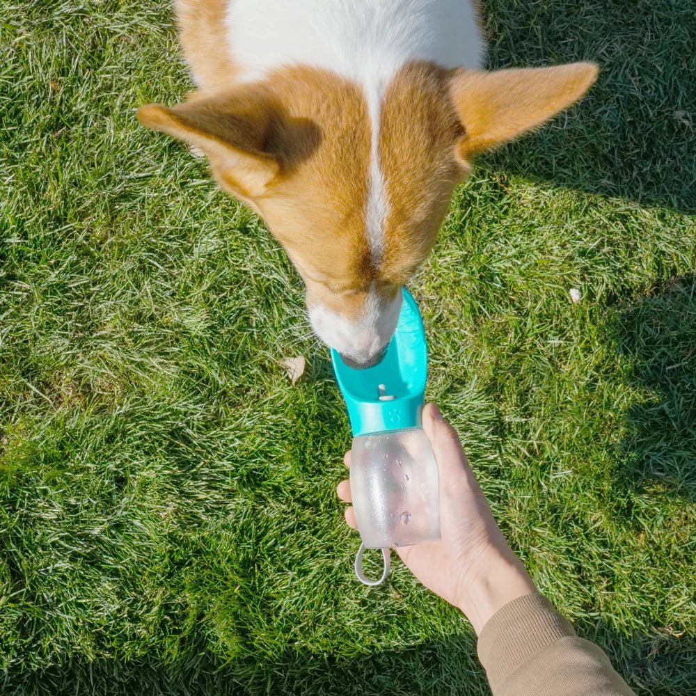 Portable Dog Water Bottle 300ML – Leakproof Travel Drinking Bottle for Small & Medium Dogs - My Pet Spot
