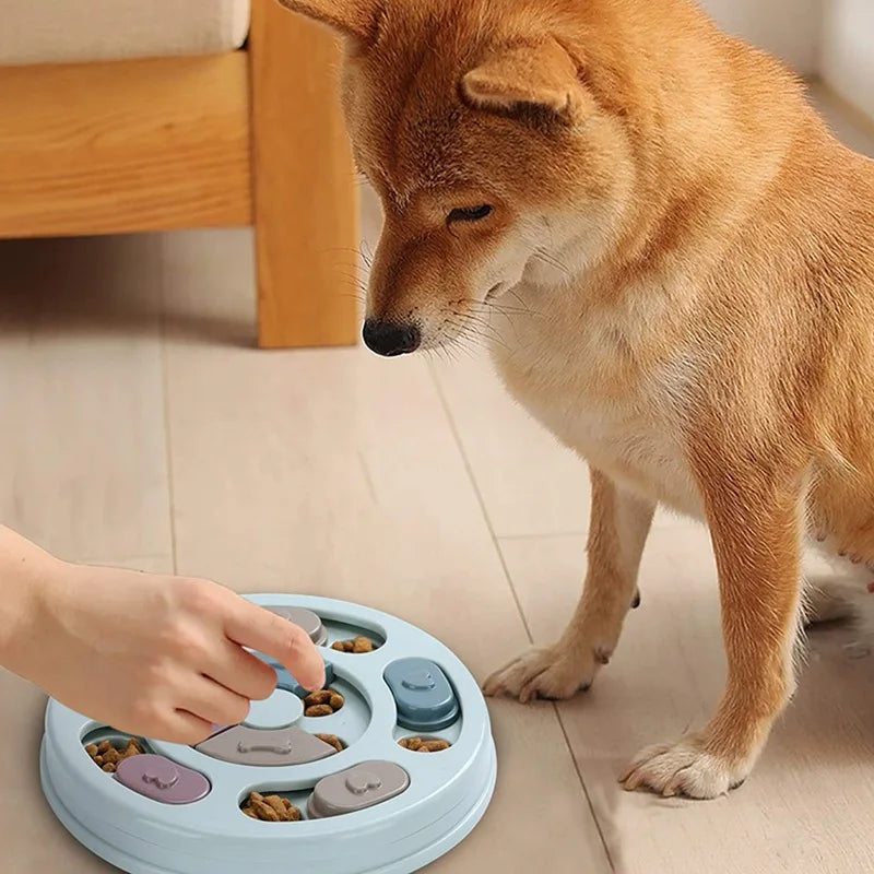 Slow Feeder Brain Game Bowl for Dogs