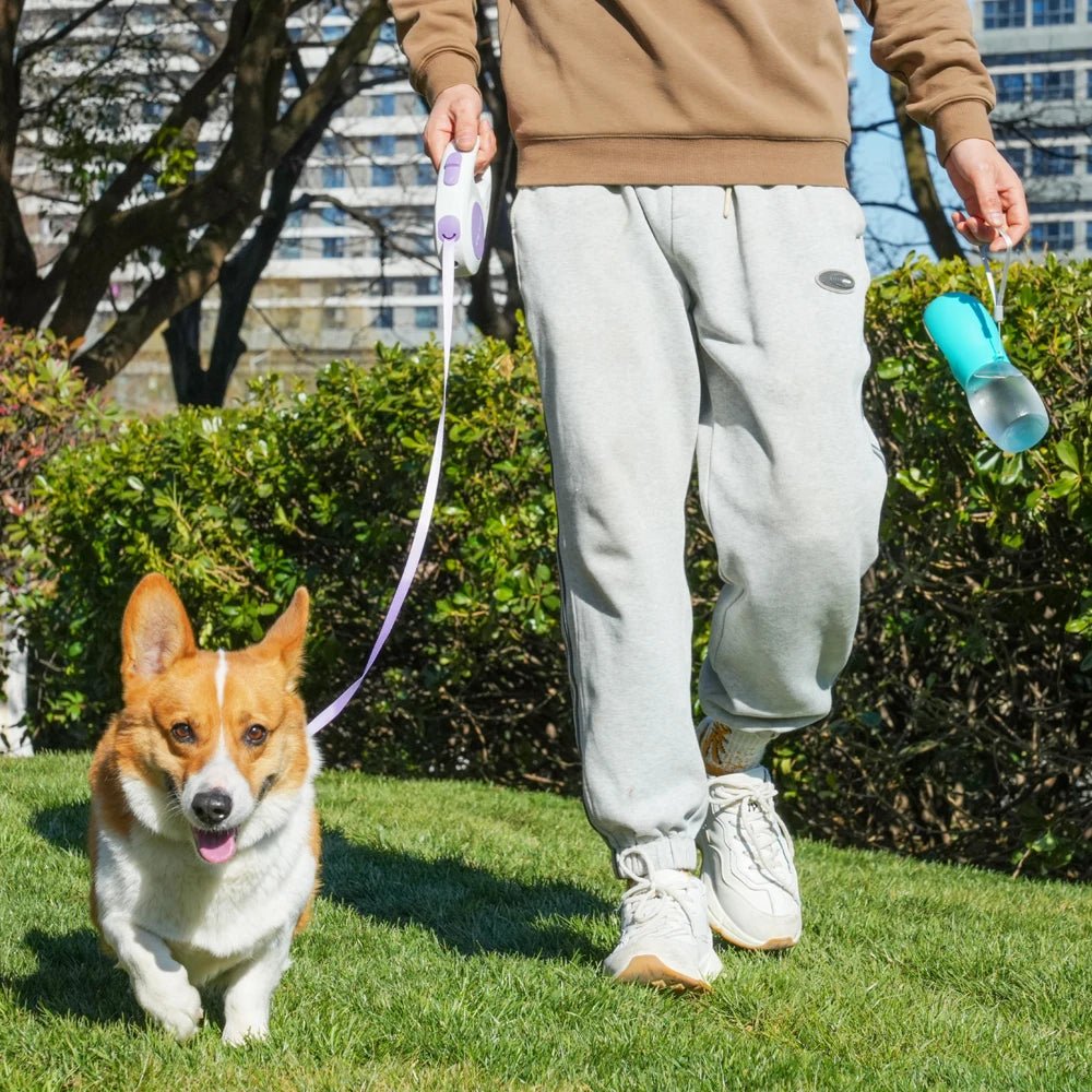 Portable Dog Water Bottle 300ML – Leakproof Travel Drinking Bottle for Small & Medium Dogs - My Pet Spot