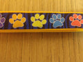 Colorful Paw Print Dog Leash – Large 6ft Heavy Duty