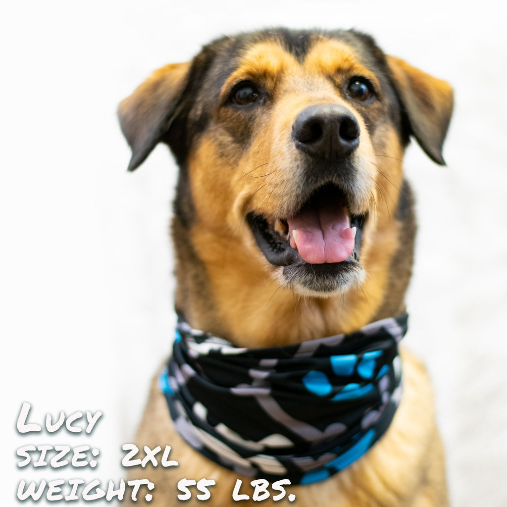 Bone Dogger Pup Scruff – Dog Bandana Scrunchie