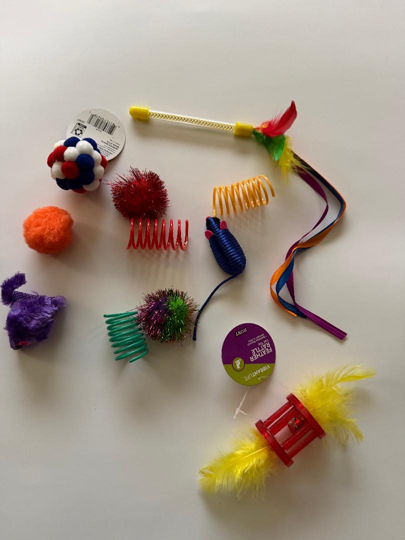 "Cat playing with variety toy bundle set"