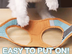Adjustable Reflective Cat Harness & Leash Set