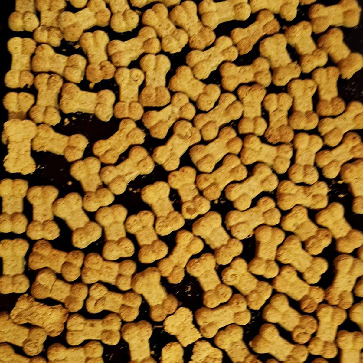 Roscoe & Stella's Grain-Free Mini-Bone Dog Treats