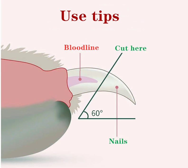 LED Pet Nail Clipper & Trimmer for Cats & Puppies