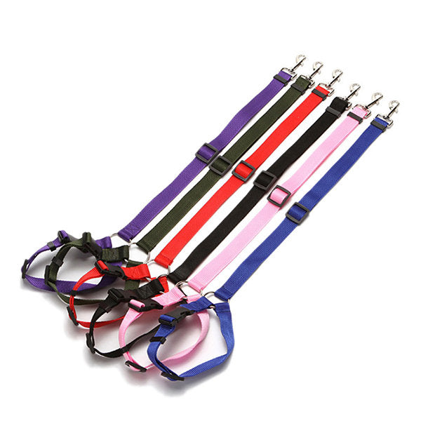 Pet Car Safety Harness – Adjustable Seat Belt Clip for Dogs | My Pet Spot