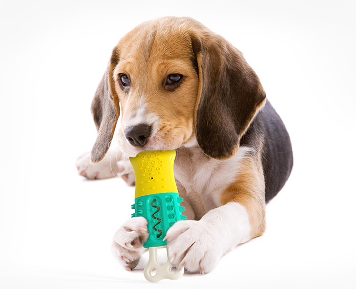 Cooling Dog Chew Toy – Dental Cleaning Ice Lolly Teething Stick