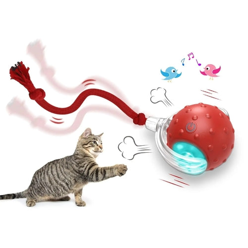 Interactive Cat Toy Ball – Super Drive Rolling Ball with Chirping & Auto Wake-Up