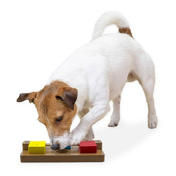 Brainiac Flip-Flop-Fido™ Treat Dispensing Puzzle Toy for Dogs