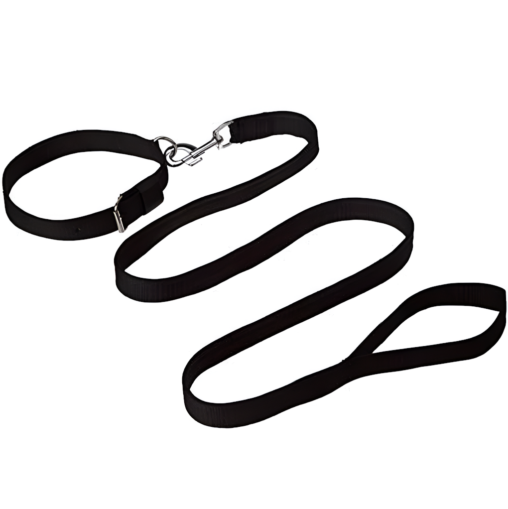 Nylon Collar & Leash Set for Cats and Small Dogs