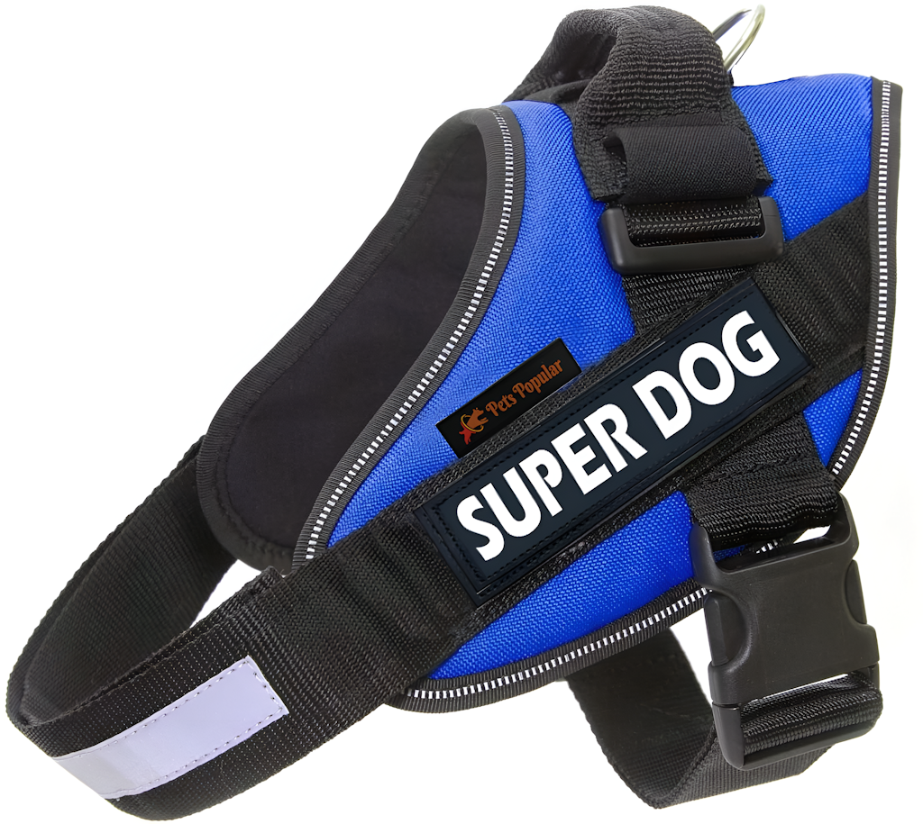 Reflective Dog Harness & Leash Set – Adjustable, No-Pull, Comfortable Fit