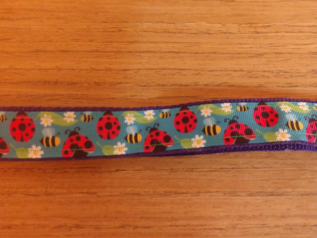 Ladybug Print Dog Leash - Large (6 ft)
