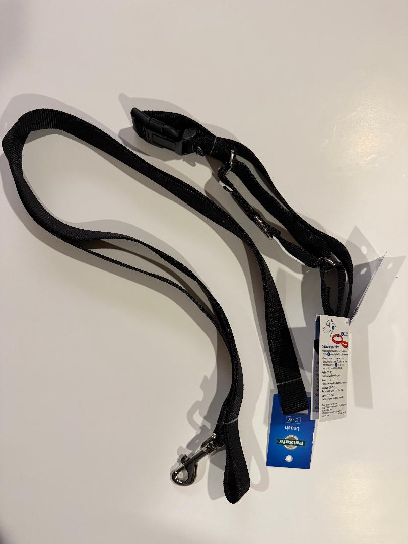 Dog Collar & Leash Combo