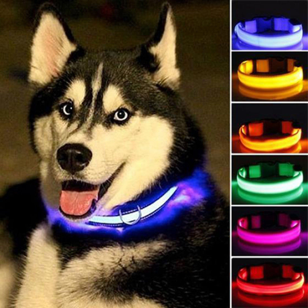 2-Pack LED Dog Collar – Light-Up Nylon Safety Collar for Dogs