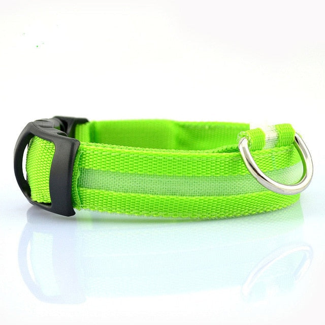 2-Pack LED Dog Collar – Light-Up Nylon Safety Collar for Dogs