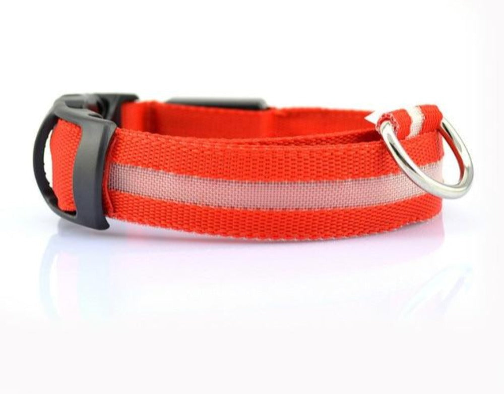2-Pack LED Dog Collar – Light-Up Nylon Safety Collar for Dogs