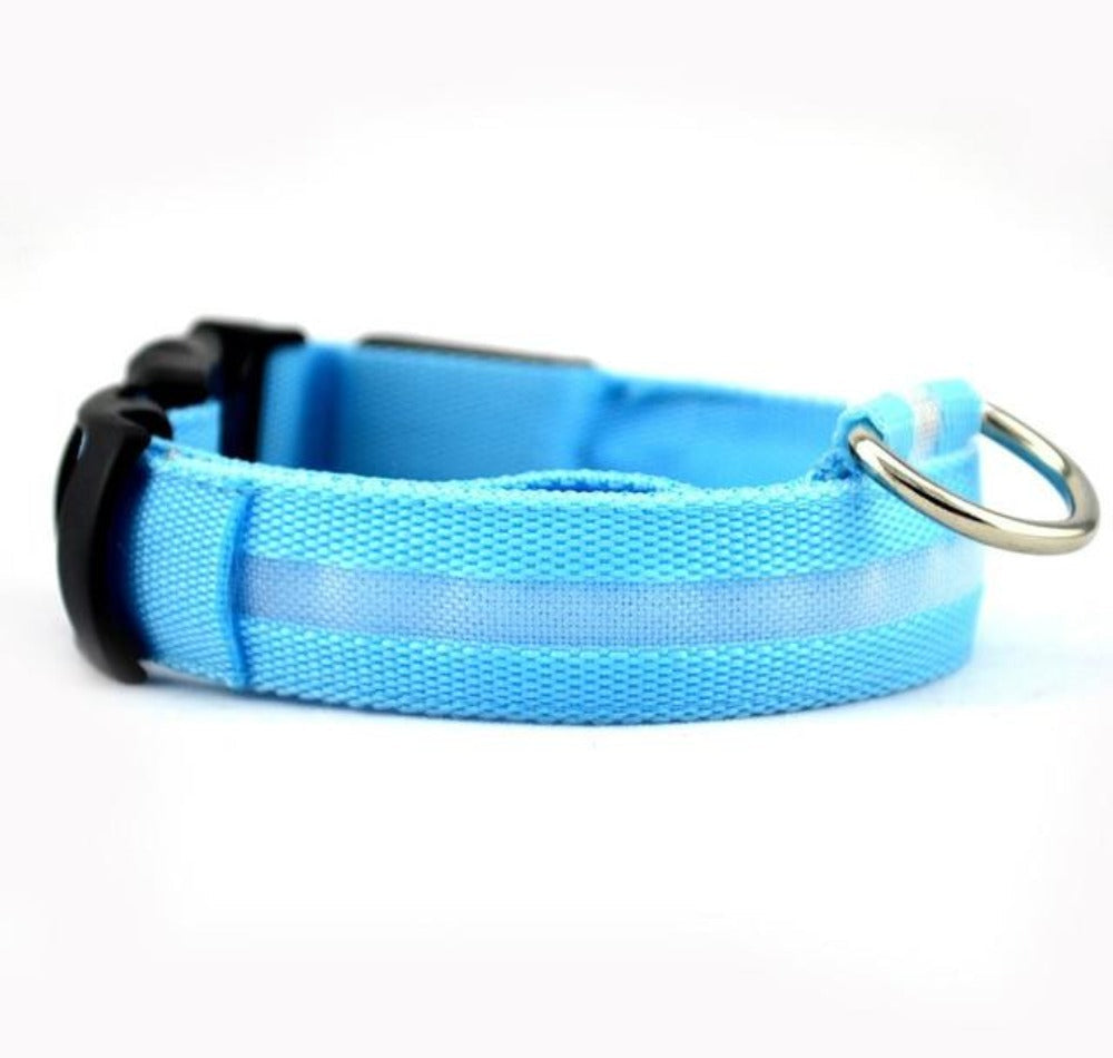 2-Pack LED Dog Collar – Light-Up Nylon Safety Collar for Dogs