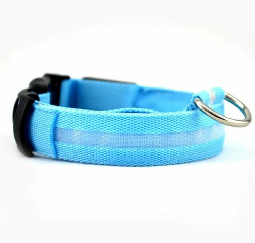 2-Pack LED Dog Collar – Light-Up Nylon Safety Collar for Dogs