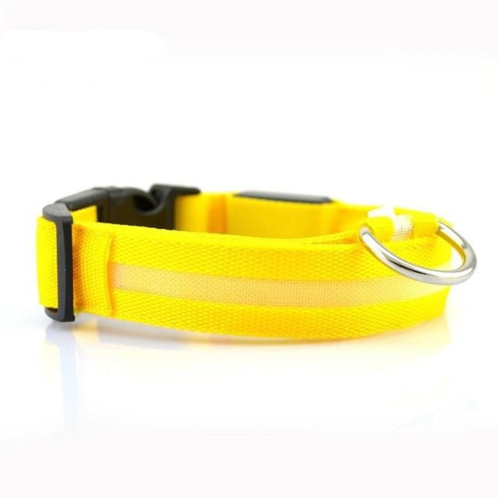 2-Pack LED Dog Collar – Light-Up Nylon Safety Collar for Dogs