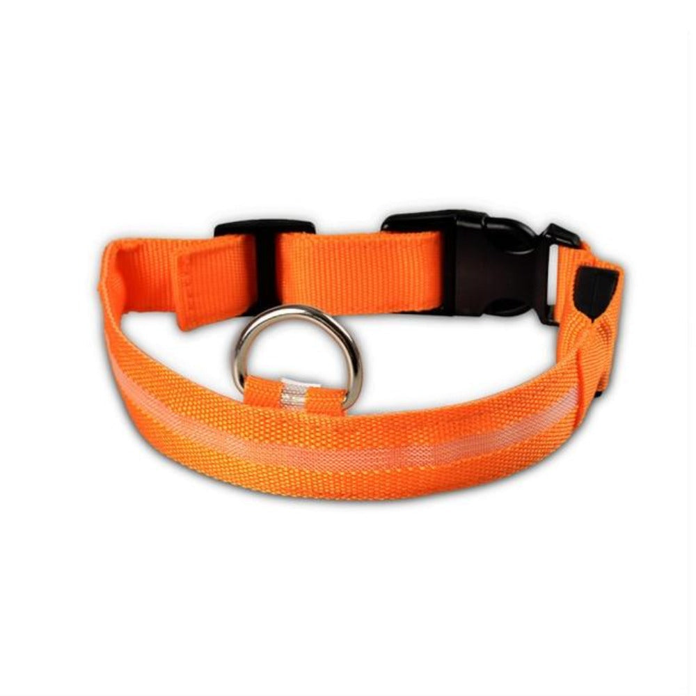 2-Pack LED Dog Collar – Light-Up Nylon Safety Collar for Dogs