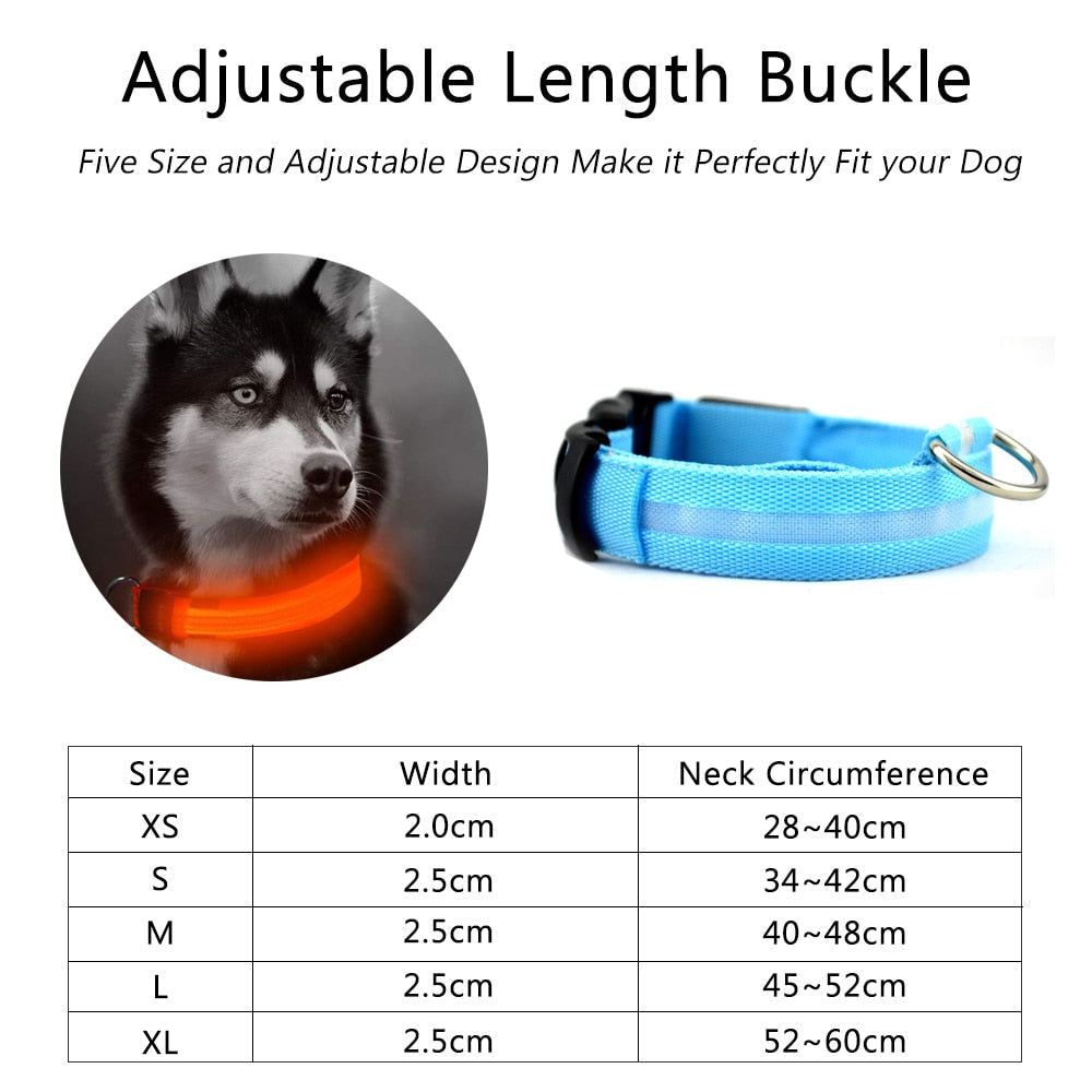 2-Pack LED Dog Collar – Light-Up Nylon Safety Collar for Dogs