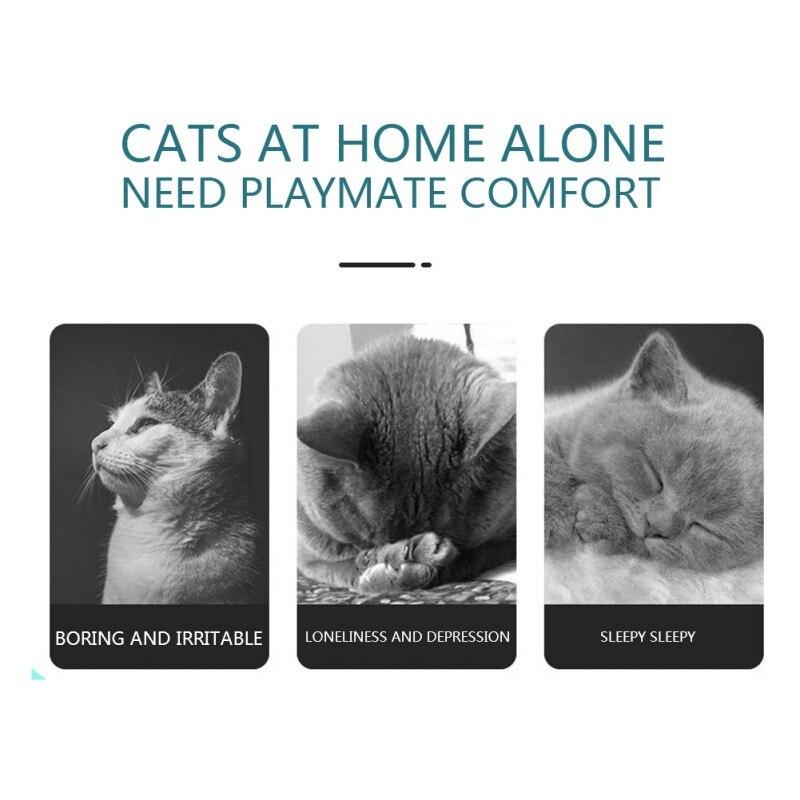 Interactive Cat Maze Toy – USB Rechargeable Chase & Hunt Mouse Toy