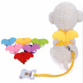 Angel Wing Dog Leash & Collar Set – Adjustable Harness for Small Dogs