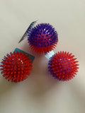 Squeaky Dog Toy Ball