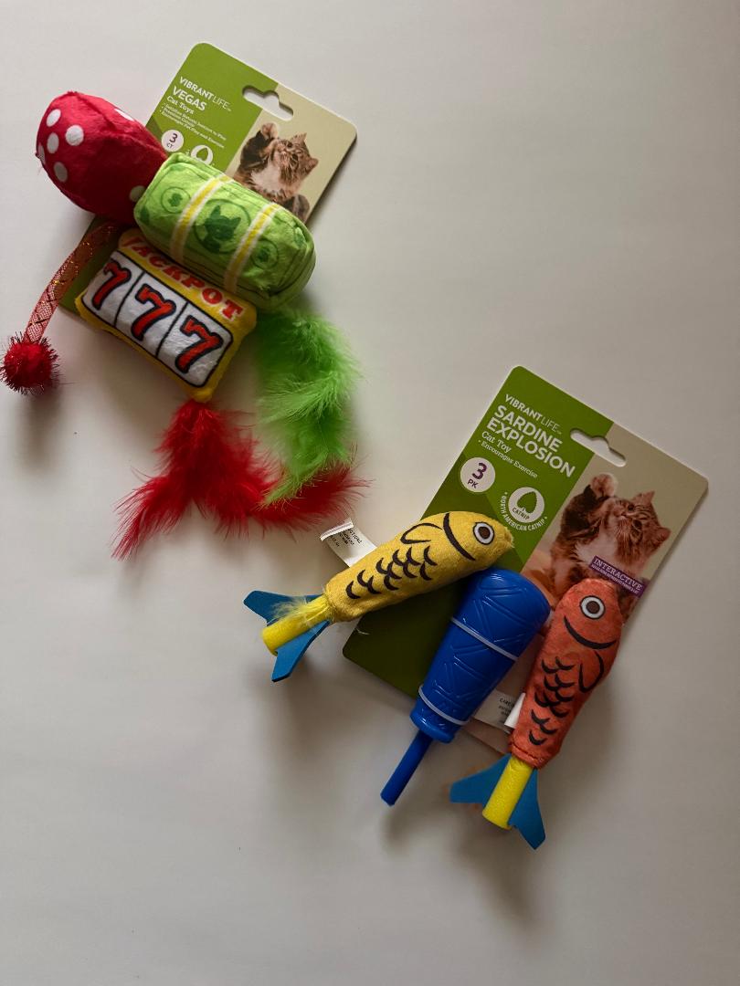 Sardine Explosion & Vegas Cat Toys